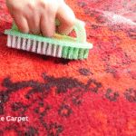 Clean Reptile Carpet