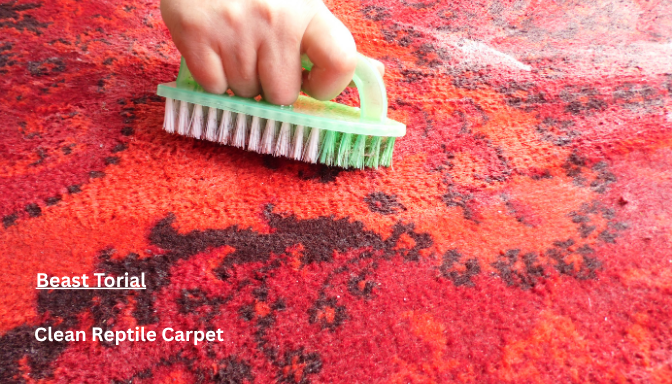 Clean Reptile Carpet